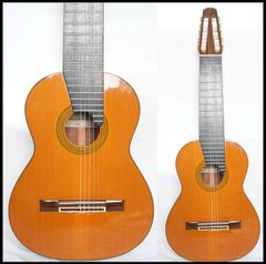 ☆TAKAMINE PT-207 ハワイアンコア材ドレッドノートアコースティック