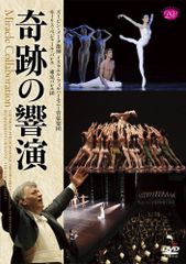 天の高みへ NEL PIÙ ALTO DEI CIELI! DVD - メルカリ