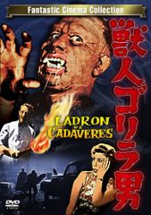 グラウベル・ローシャ傑作シリーズ DVD-BOX〈5枚組〉 廃盤 - メルカリ