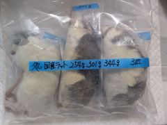 爬虫類餌用 冷凍ヤワゲネズミ 50g～70g 12匹 - メルカリ