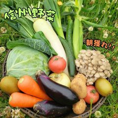 43 父の日限定大セール 訳あり品 枝豆 湯上がり娘 2キロ 有機肥料 