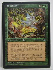 マジック:ザ・ギャザリング 大地の知識 日本語版 - メルカリ