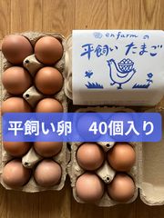殻にひび割れのある卵 3個セット、軽い割れの2個が写真程確認取れない載らないです 殻にひび割れのある卵 3個セット、軽い割れの2個が写真程確認取れない