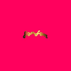 (CD)fam fam/never young beachのサムネイル