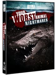 新品未使用】アンナチュラル・ラストマイルBlu-ray 完全シナリオブック
