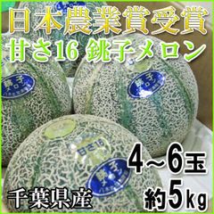 島根産アムスメロン秀5L3玉入り✖️2箱セット！ - メルカリ