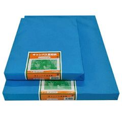 カラーまな板 32x53x2cmカッティングボード 食洗機対ブルー - メルカリ