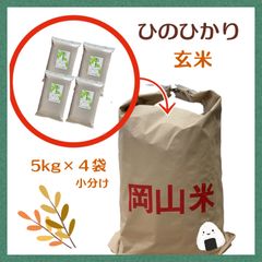 中米】岡山で穫れたひのひかり 【白米】 20キロ - メルカリ