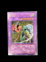送料無料】遊戯王 鎧黒竜ーサイバー・ダーク・ドラゴン レリーフ CDIP