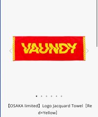 Vaundy ドームツアー2026グッズ ダウンベストM.Lタオルセット Vaundy ドームツアー2026グッズ ダウンベストM.Lタオルセット - メルカリ