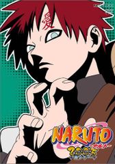 NARUTO -나루토- 3rd STAGE 마키노 11/다테 용 등