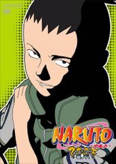 NARUTO -나루토- 3rd STAGE 2005 마키노하치/다테 용 등