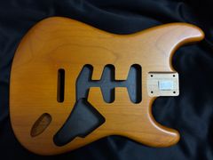 個人工房製】ストラトキャスタータイプ P-90 - メルカリ