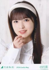 乃木坂46 小川彩 生写真 まとめ売り セミコン 乃木コレ lucky bag
