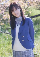 【中古】生写真(坂道シリーズ) 山下美月/「夏桜」MV/山下美月 卒業記念 ランダム生写真