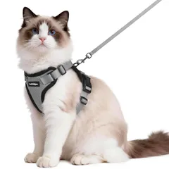 新品 Rabbitgoo 猫用 ハーネス リードセット 犬猫兼用 超小型犬 小型犬 抜けない ソフト胸あて 軽量 足を上げず装着完成 サイズ調節可 夜反射 通気メッシュ 咳込み防止 散歩 犬用ハーネス 猫の胴輪 くびわ ベスト パグ ネコねこ子猫 散歩ひも 猫