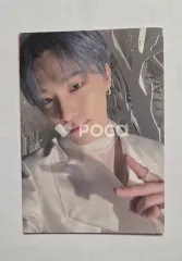 Seventeen ディノ セブチ Power of Love TRADING CARD