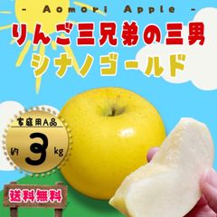 青森県産 ＂ シナノゴールド ＂りんご 加工用 3kg 産地直送 リンゴ 