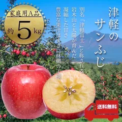 青森県産 ＂ サンふじ ＂ りんご【ご家庭用 (訳あり) Ａ品5kg】【送料無料】【産地直送】リンゴ 林檎のサムネイル