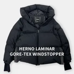 美品 HERNO LAMINAR 23AW ヘルノ ラミナー Aライン GORE-TEX ダウンジャケット PI155DL 黒 ブラック 38 S / J&NREUSE レディース アウターのサムネイル