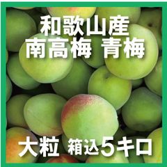 大粒南高梅 青梅 秀品2L 3kg 和歌山県産直送 - メルカリ