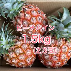西表島産パイン】食べ比べセット ピーチ&スナック 9キロ - メルカリ