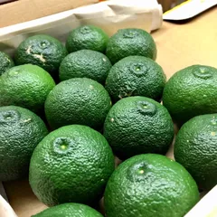 高知県産  青柚子   ◎サイズ混合 ◎ご家庭用品のサムネイル