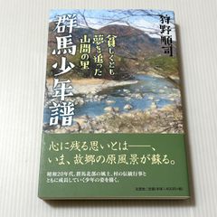山岳写真集 伊藤史朗の甲斐の山歌 南アルプス 山岳 登山家 カメラマン 