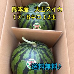 この時期最高に美味い！熊本産【肥後漫遊】秀品4L（2玉18kg以上）かめ屋厳選堂 この時期最高に美味い！熊本産【肥後漫遊】秀品4L（2玉18kg以上）かめ