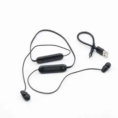 SONY  WI-C100 ワイヤレスステレオ イヤホン Bluetooth①