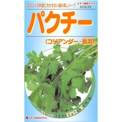 パクチー 香菜 コリアンダー 200g - メルカリ