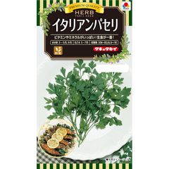 長野県の高原から採れたて新鮮【イタリアンパセリ】200g以上（2607052