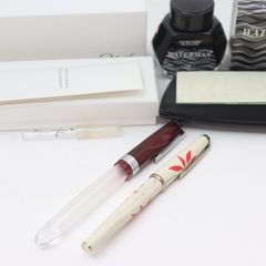 最終値下げ】Pelikan M205 DUO 万年筆 蛍光インクセット - メルカリ
