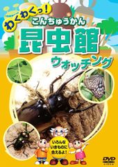HIKAKIN くてんこぬいぐるみ 目覚まし時計 5体セット夏休みの手土産に