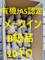 栃木県産 メークイン 20kg 新ジャガイモ 格安 じゃがいも - メルカリ