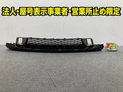 レンジローバー/スポーツ L494 SVR 純正 フロント バンパー ロアバンパー カバー FK6M-17F011-A ブラック ソリッド ランドローバー(149299)のサムネイル