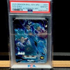 손오공 GDR 병렬 PSA10