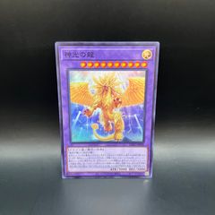 遊戯王 ヒーローアライブ シークレットレア PP13 - メルカリ