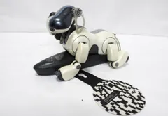 2026年最新】AIBO ERS-7の人気アイテム - メルカリ