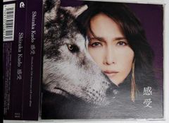 工藤静香 20th Anniversary B-side collection - メルカリ