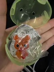 ドキドキ秘密の友達めじるしカンだ