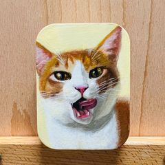 캔 아트 27 고양이 고양이의 그림 스틸캔 소품 넣어 차백 고양이