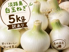 訳あり】埼玉県産辛味大根『おいばね』サイズバラバラ 5kg超 - メルカリ