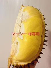 2026年最新】タイ産ドリアン3玉の人気アイテム - メルカリ