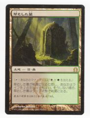 MTG APAC island 島 夫婦岩 鳥羽 伊勢 基本土地 - メルカリ
