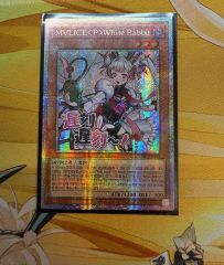 PSA10 M∀LICE〈P〉WhiteRabbit スタンプ ホワイトラビット Amazon.co.jp: STSP-JP006 M∀LICEWhite Rabbit プリズマティック