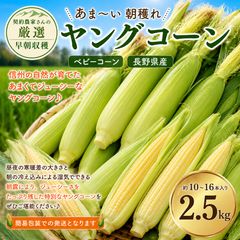 0613⑤山梨県産ヤングコーン50本 ゴールドラッシュ - メルカリ