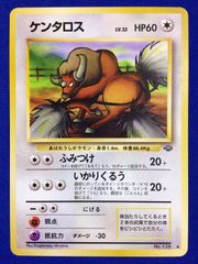 ケンタロス 008/009 ポケパークプレミアムファイル ブルーシート PCG