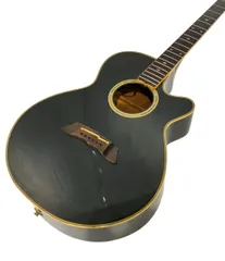 2026年最新】takamine npt-110の人気アイテム - メルカリ