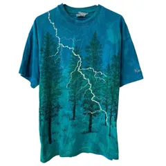 90s USA製 Hanes 半袖 プリントTシャツ XL ブルー グリーン ヘインズ プルオーバー 90年代 ビッグプリント 木 カットソー 夏物 a806-5822のサムネイル